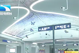 记者探访武汉地铁2号线南延线珞雄路站：璀璨星河五彩蝴蝶视频封面