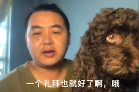 狗狗呕吐拉肚子便血，不用太担心，自己在家也能治好视频封面