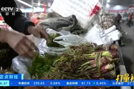 云南保山：刺椿芽上市，口感鲜嫩深受市场青睐视频封面