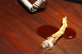 男子捡到一根奇怪鸡爪，带回家后却变成一只怪物，冷门惊悚奇幻片视频封面