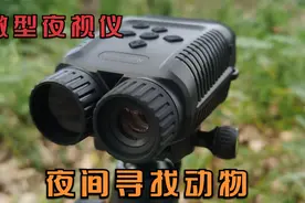 400元夜视仪寻找动物，夜间竟然能看到这么多动物视频封面