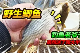 1000多条红色虫送给大爷钓鱼，大爷用开枪的手钓鱼，没想到这么狠视频封面
