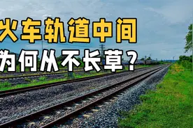 为什么火车轨道两旁长满草，中间却没有草？具体是怎么回事？视频封面