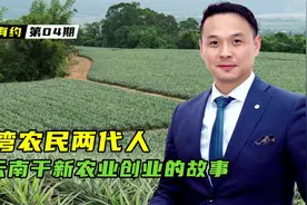 台湾农民父女两代人，在云南干新农业种植的创业故事！女孩是95后视频封面