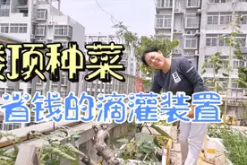 楼顶菜园花钱最少的滴灌系统，滴水不漏省时还省钱，家家都可安装视频封面