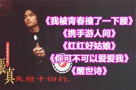 <我被青春撞了一下腰><携手游人间><红红好姑娘><醒世诗>张真MV视频封面