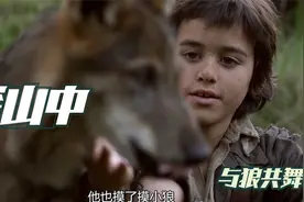 《狼群之中》视频封面