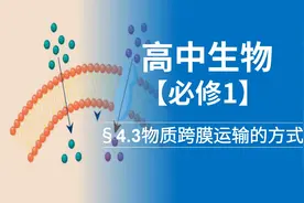 高中生物必修一，物质跨膜运输方式，被动运输和主动运输的区别。视频封面