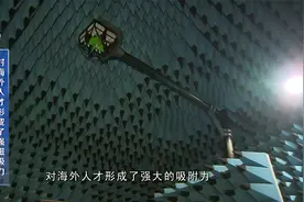 中国科研环境已对海外人才形成了强磁吸力视频封面