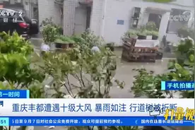 重庆丰都遭遇十级大风，暴雨如注，行道树被折断|第一时间视频封面