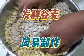 发酵玉米最简易制作方法，大板鲫鲤鱼都爱吃，成本不能再低了