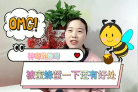 被蜜蜂蜇了竟有好处！老中医道出蜂毒的神奇！视频封面
