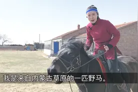 蒙古人天生就能骑马,草原上奔腾的感觉真爽,这么美的草原想来玩吗视频封面