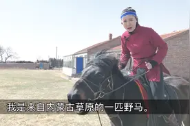 蒙古人天生就能骑马,草原上奔腾的感觉真爽,这么美的草原想来玩吗视频封面