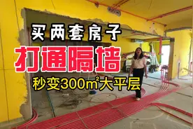 我买了两套房，把隔墙打通变成300平的大平层视频封面