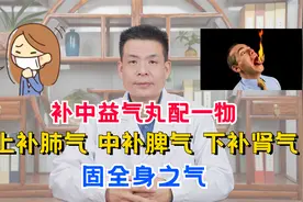 补中益气丸巧搭配，上补肺气，中补脾气，下补肾气，固全身之气视频封面