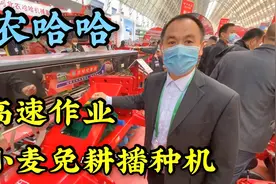 新款农哈哈小麦播种机，施肥播种一条龙，一小时20亩效率超高！视频封面