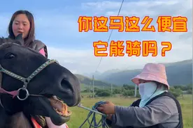 现在到草原上买一匹马要多少钱？听到价格我兴奋了！视频封面