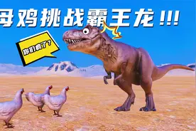 3只老母鸡组团打霸王龙，霸王龙：你们疯了？视频封面