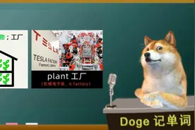 【Doge每日一词-狗狗讲英语】plant 高考四六级考研英语必考词汇视频封面