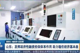 山东：发挥政府性融资担保体系作用，助力稳住经济基本盘视频封面