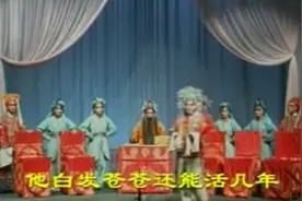 两夹弦（二夹弦）《王宝钏-大登殿》山东荷泽市定陶两夹弦剧团视频封面