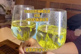 在家品饮西湖龙井，15000的狮峰和400的普通西湖龙井差别真的大视频封面