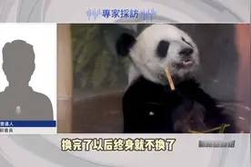 旅美熊猫丫丫为何形容消瘦？脱毛严重有隐情？｜新闻鉴证组