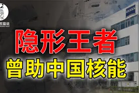 芯片企业背后的王者，也曾助力中国两弹一星，这家德国公司很优秀视频封面