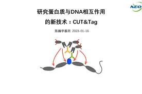 【陈巍学基因】研究蛋白质与DNA相互作用的新技术：CUT&Tag视频封面
