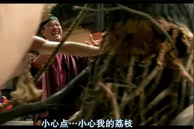 广东人搬家都带荔枝 -------------------树视频封面