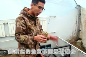 养锦鲤如何做好过滤？农村养殖小伙分享滤材基础搭配，简单又有效视频封面