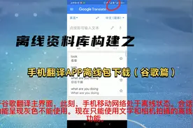 离线资料库构建之手机翻译APP离线包下载（谷歌篇），出国旅游视频封面