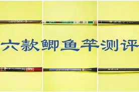 测评了6款鲫鱼竿之后，我整理了一份黑名单视频封面