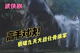 鹤啸九天对决化骨绵掌，两大高手的正面较量，谁的功力更胜一筹呢视频封面
