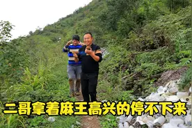 二哥跟二嫂说送他天麻都拿不回，累的他气喘吁吁，结果却喜出望外视频封面