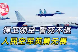 向英雄致敬！我军飞行员冒死驱离外军战机，随时做好牺牲准备视频封面
