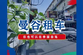 圆你在泰国自驾旅游的梦，在泰国中国驾照居然也可以租车视频封面
