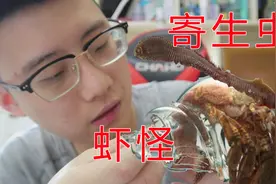 网上买的鲜活寄居蟹还自带寄生虫？硬把它从壳里拽出来检查一下视频封面