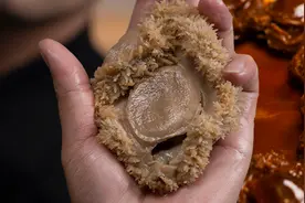 手掌大的南非干鲍要怎么吃，五星级酒店都是这么做的视频封面