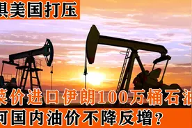 伊朗石油“白菜价”我国每天进口100万桶，为何国内油价不降反增视频封面