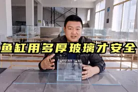鱼缸制作教程（第四集）不同大小鱼缸需要用多厚玻璃才安全视频封面