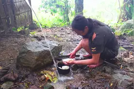 热带雨林生存记录，给猪做饭，清理鱼塘杂草并投入猪粪视频封面