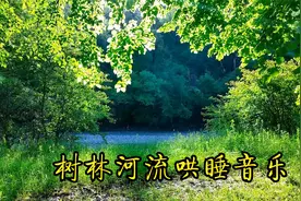 【哄睡舒压】1小时音乐：树林小河流，适合静下心来休息放松视频封面