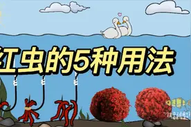 冬季钓饵之王，红虫的5种用法，每一种都“各显神通”视频封面