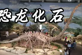 四川自贡，被称为“恐龙之乡”视频封面