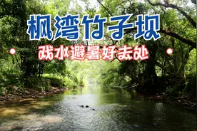韶关适合亲子戏水的原生态小溪，开车就能到达，避暑好去处~视频封面
