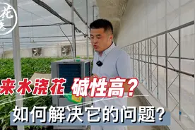自来水浇花碱性高？如何解决它的问题？养花巧妙小知识！视频封面