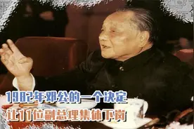 1982年邓公一个决定，让11位副总理集体下岗，但人人都夸他做得对视频封面
