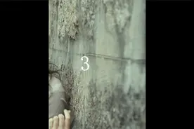 如果两人最后没能在一起，那才是悲剧视频封面